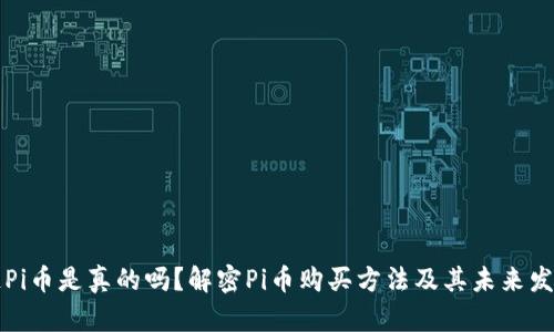 区块链Pi币是真的吗?解密Pi币购买方法及其未来发展前景