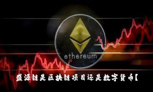 盛源链是区块链项目还是数字货币?