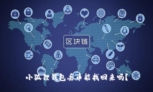 小狐狸钱包丢币能找回来吗?