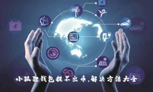小狐狸钱包提不出币,解决方法大全