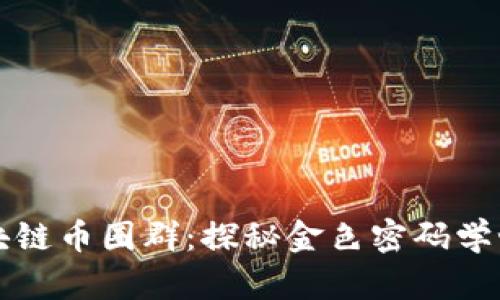 区块链币圈群:探秘金色密码学世界