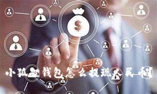小狐狸钱包怎么提现人民币?