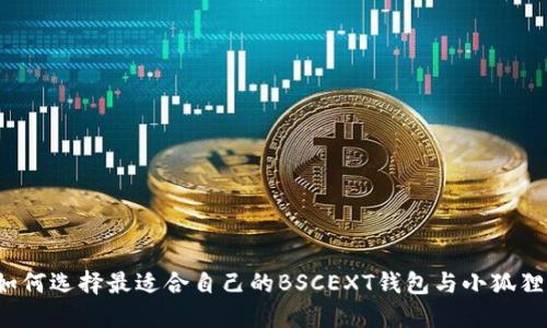 如何选择最适合自己的BSCEXT钱包与小狐狸?