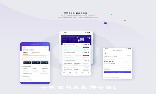 小狐狸钱包是哪个链?