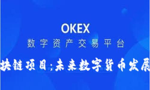 纳诺币区块链项目:未来数字货币发展的新方向