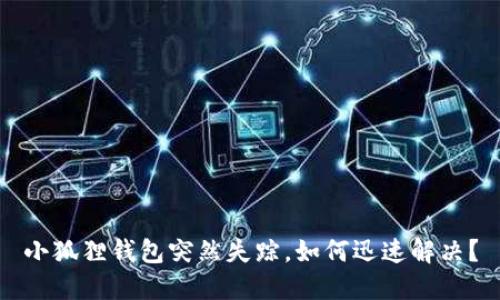 小狐狸钱包突然失踪,如何迅速解决?