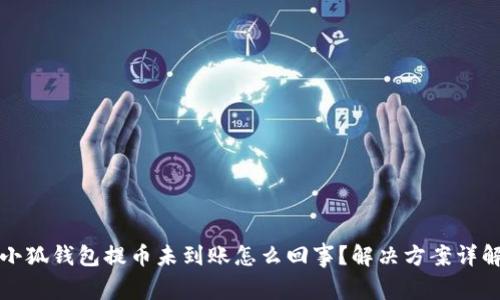 小狐钱包提币未到账怎么回事?解决方案详解