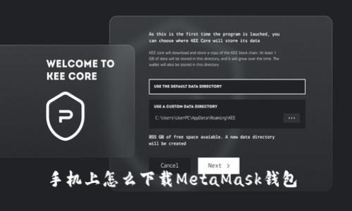 手机上怎么下载MetaMask钱包