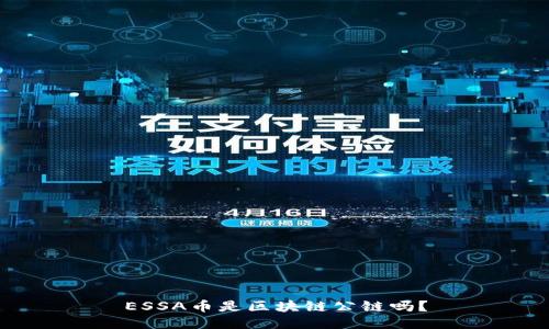ESSA币是区块链公链吗?