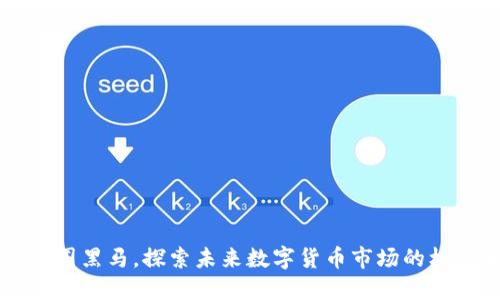 区块链币圈黑马,探索未来数字货币市场的机会和挑战