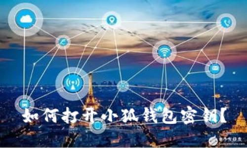 如何打开小狐钱包密钥?