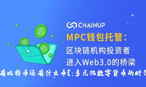 区块链有比特币还有什么币?:多元化数字货币的时代到来了
