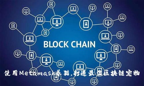 使用Metamask养猫,打造最佳区块链宠物
