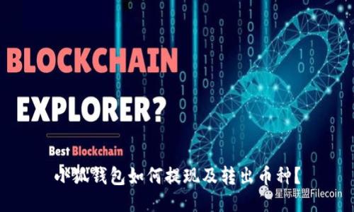 小狐钱包如何提现及转出币种?