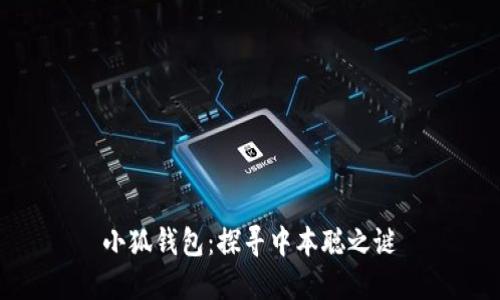 小狐钱包:探寻中本聪之谜