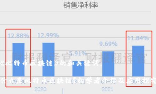 《比特币区块链》的和关键词:
什么是比特币区块链?初学者介绍及应用探究