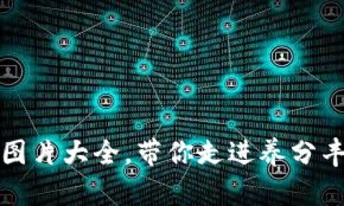 小狐两个钱包图片大全,带你走进养分丰富的可爱世界