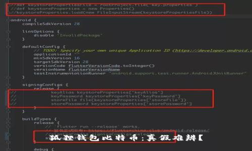 狐狸钱包比特币:真假难辨?