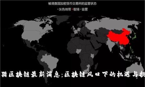 围猎区块链最新消息:区块链风口下的机遇与挑战