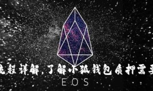 小狐钱包质押流程详解,了解小狐钱包质押需要哪些关键步骤