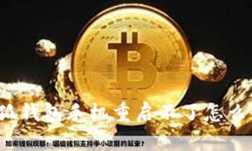 小狐钱包手机重启不了怎么办?