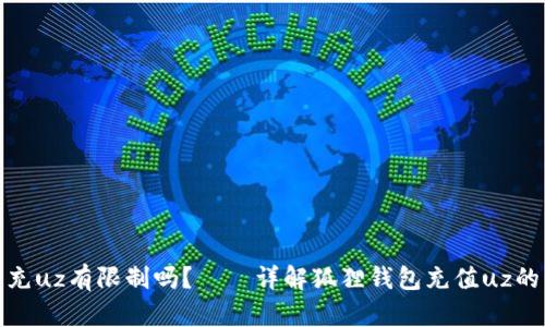 狐狸钱包充uz有限制吗?——详解狐狸钱包充值uz的相关问题