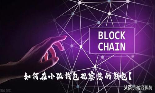 如何在小狐钱包观察您的钱包?