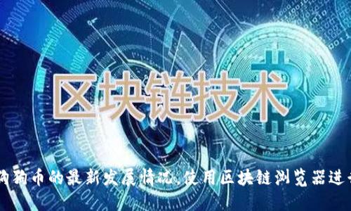 了解狗狗币的最新发展情况,使用区块链浏览器进行查询