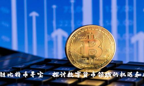 区块链比特币寻宝—探讨数字货币领域的机遇和风险