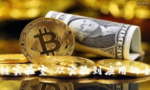 区块链实验室:从实验到应用的全流程