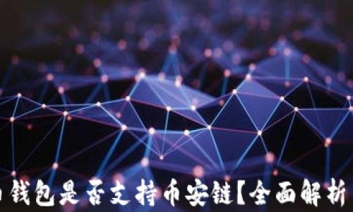 比特币钱包是否支持币安链?全面解析与建议