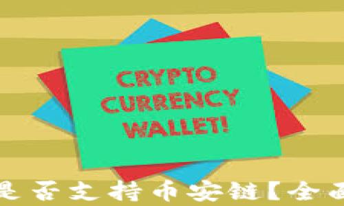 比特币钱包是否支持币安链?全面解析与建议