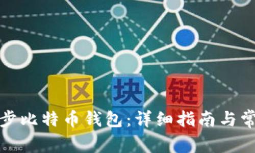 如何高效同步比特币钱包:详细指南与常见问题解答