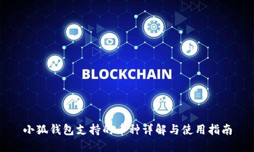 小狐钱包支持的币种详解与使用指南