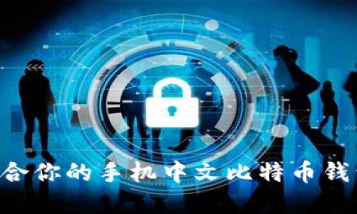 如何选择适合你的手机中文比特币钱包:全面指南