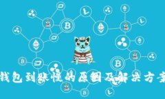 小狐钱包到账慢的原因及解决方案详解