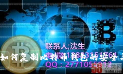 全面解析:如何复制比特币钱包的安全与注意事项