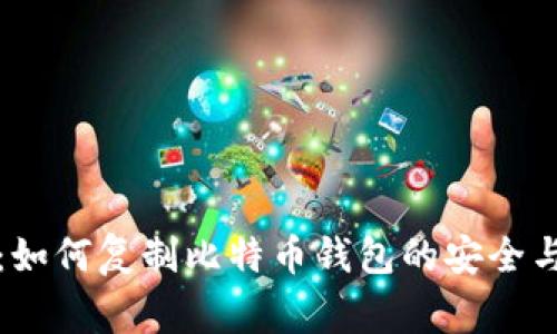 全面解析:如何复制比特币钱包的安全与注意事项