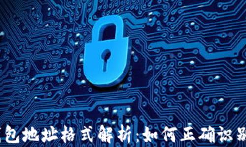 USDT钱包地址格式解析:如何正确识别与使用