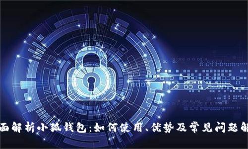 全面解析小狐钱包:如何使用、优势及常见问题解答