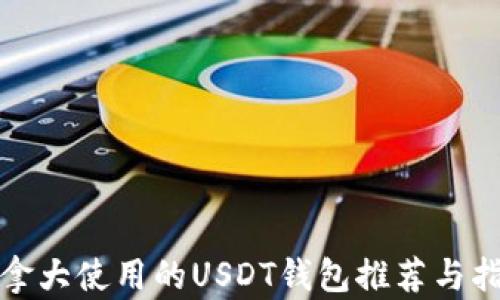 
加拿大使用的USDT钱包推荐与指南