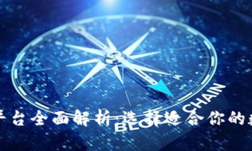 比特币个人钱包平台全面解析:选择适合你的数字资产存储方案
