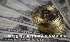 小狐钱包转出未到账的原因及解决方法