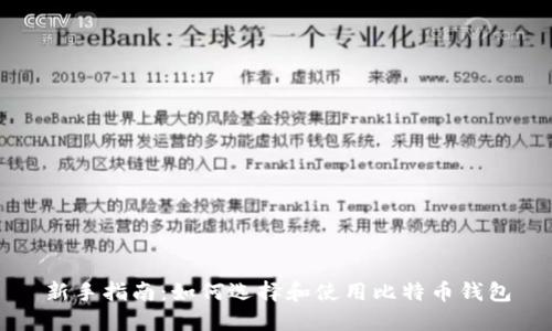 新手指南:如何选择和使用比特币钱包