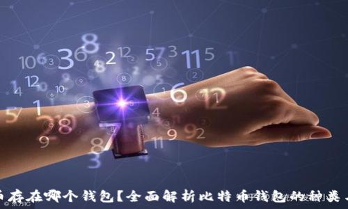   
比特币存在哪个钱包？全面解析比特币钱包的种类与选择