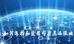 全面指南：如何选择和使用印度尼西亚