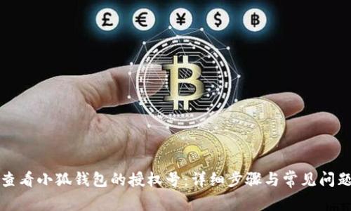 如何查看小狐钱包的授权号:详细步骤与常见问题解析
