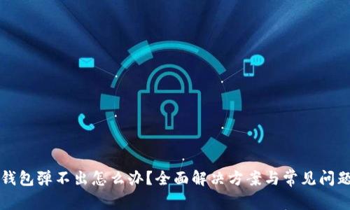 小狐钱包弹不出怎么办?全面解决方案与常见问题解析