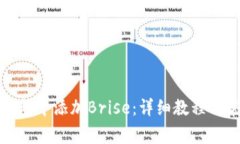 如何在小狐钱包中添加Brise：详细教程