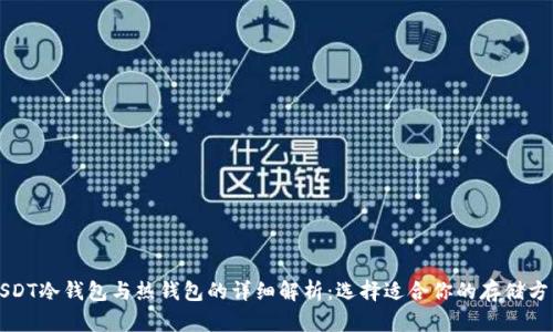 USDT冷钱包与热钱包的详细解析:选择适合你的存储方式